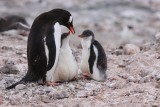 port lockroy