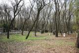 jewish cemetery warsaw