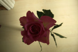 CIMG0672w