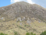 DPP_0039.JPG