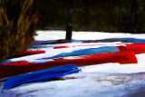 canoe 1 8x12.jpg