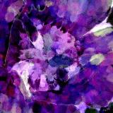 purple flower post.jpg