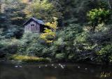 high boathouse 11x8