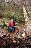 Ken prepares to start the chainsaw