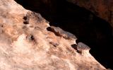 Erosion detail (about two feet wide) at one of the gaps