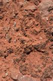 Lumpy cryptobiotic soil