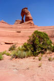 Vegetation and stone