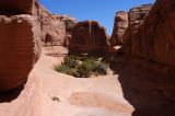 View down-canyon from the dead-end