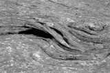 Sandstone curves (scene width is about 2 feet [0.6m])