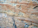 IMG_3389.JPG