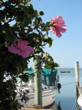 IMG_4333.JPG