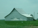 Indiana1.JPG