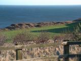 Over looking the 16th fairway from Lizard Lane.