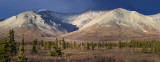 Denali National Park