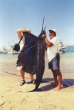 Mark Keeps A Large Sailfish