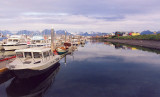 Small Boat Harbor, Homer Alaska