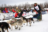 Iditarod Photos - 2008