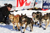 Iditarod Photos - 2008