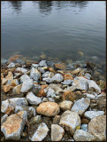 Waterside