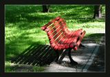 Red bench