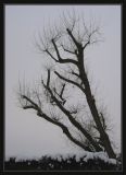 Wintertime