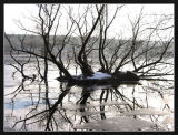 Winterday