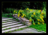 Stair decoration