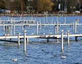Gull station