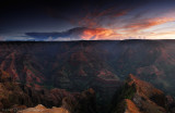 What a Show of Color!