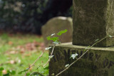 DSCF0105.jpg