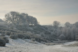 DSC_1590 web.jpg