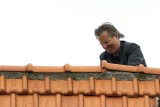Bosch en Vaart tijdens Cultuurlijn