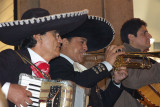 Musicians near the Plaza del Sol