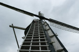 IMGP1592.jpg