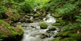 The park had lots of nice streams