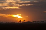 florida20080301466.jpg