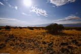 Near Lake Natron