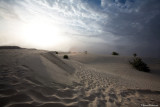 Bintagungu - Le dune di sabbia bianca
