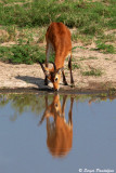 Murchison Falls Park