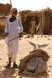 Bisharin nomads - Bayuda desert