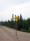 Lots of Snowmobile Crossing Signs along the Tans-Labrador Highway