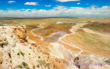 Petrified Tree NP.jpg