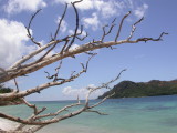 Praslin Seychelles April 2010