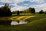 Dam at Thistle Hill, Hunter Valley