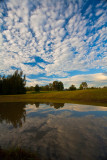 Reflection of clouds in dam at Thistle Hill, Pokolbin