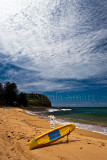 North Avalon Beach with surfboard