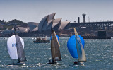 Skiff race on Sydney Harbour 