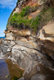 Sandstone at Dee Why Beach