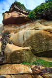 Sydney sandstone at Dee Why Beach
