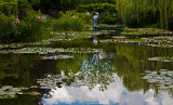 Water Lily pond in Monet's Garden 